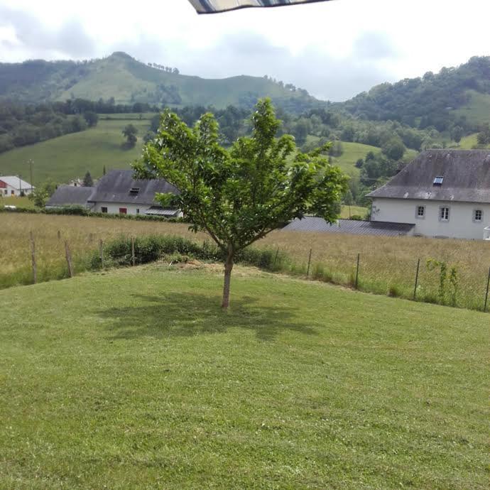 Gite Etchegoyhen Lacarry-Arhan-Charritte-de-Haut Bagian luar foto